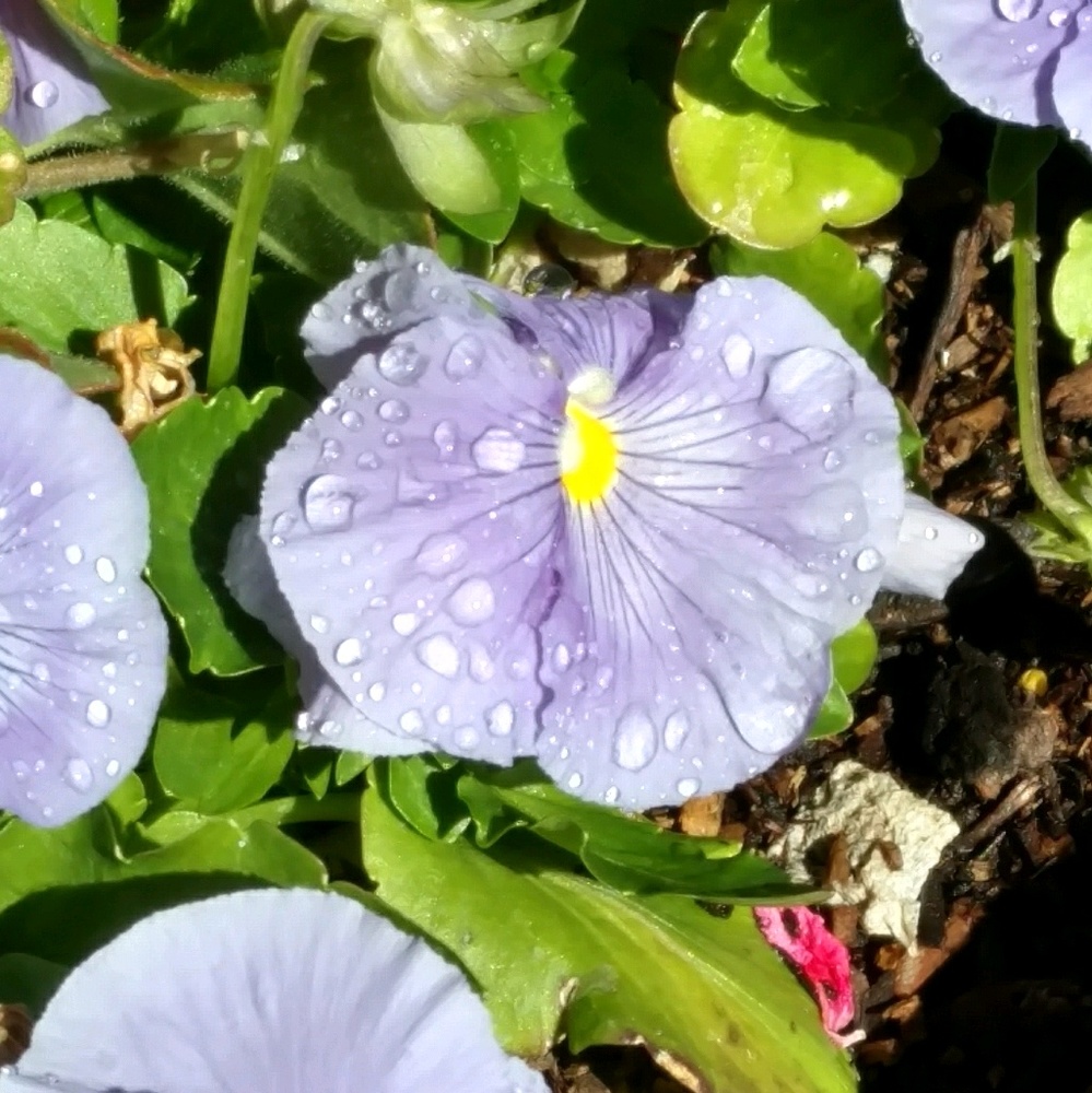 Meet your Posher, Jerry